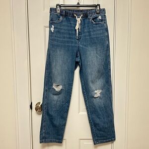 Aerie Denim Distressed Waistband Joggers